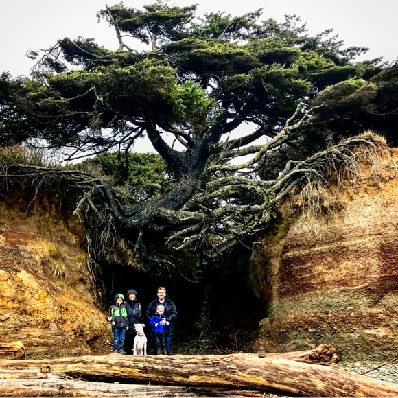 ✨LIVE ✨ - Picture 8 of 16